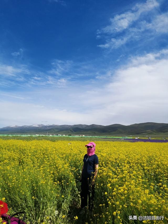 青海湖大环线7天自驾游攻略,6月青海大环线旅游攻略