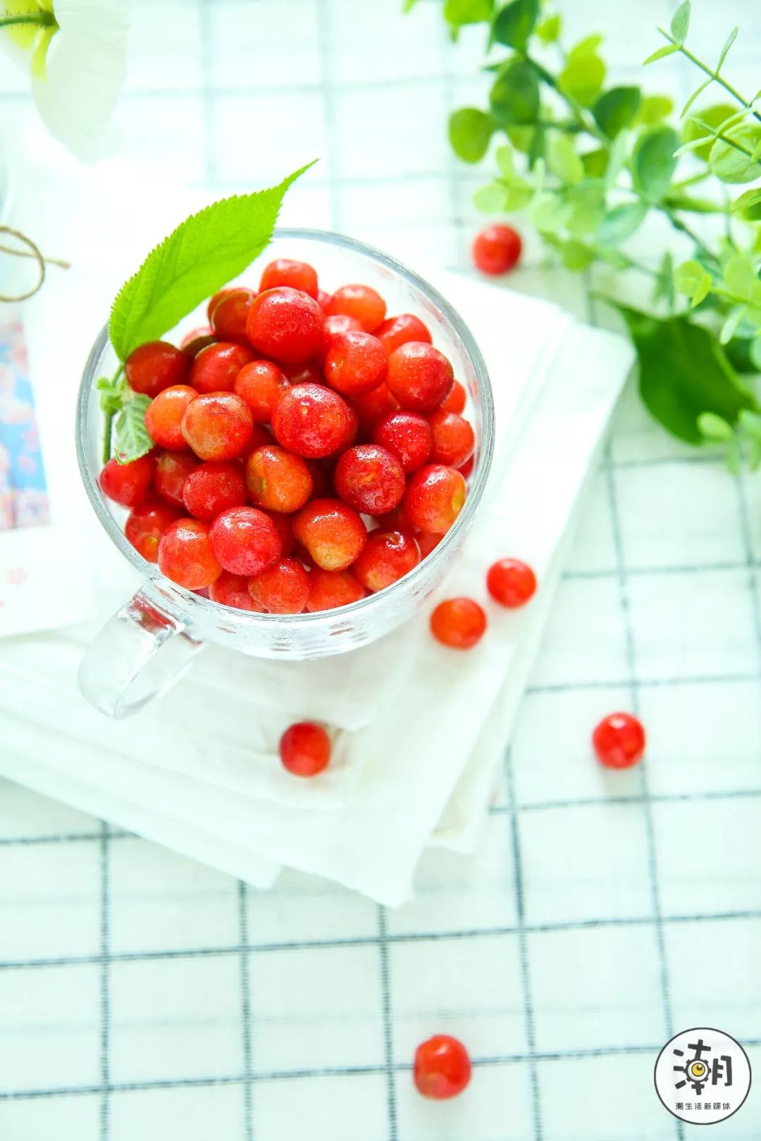 对不起,成都人没有“恩桃儿自由”!