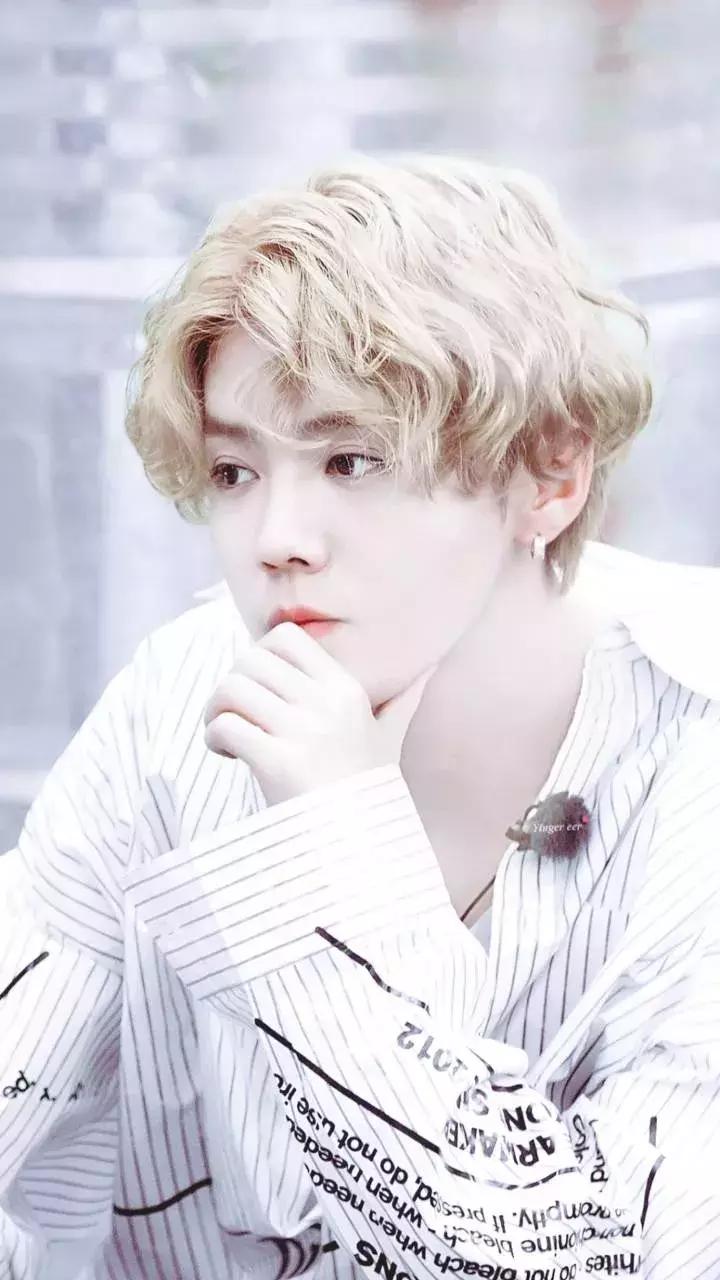 近期鹿晗热搜,鹿晗爱豆鸭