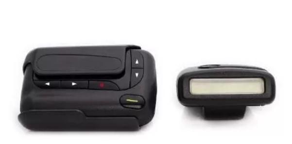 麦兜几岁,麦兜出生