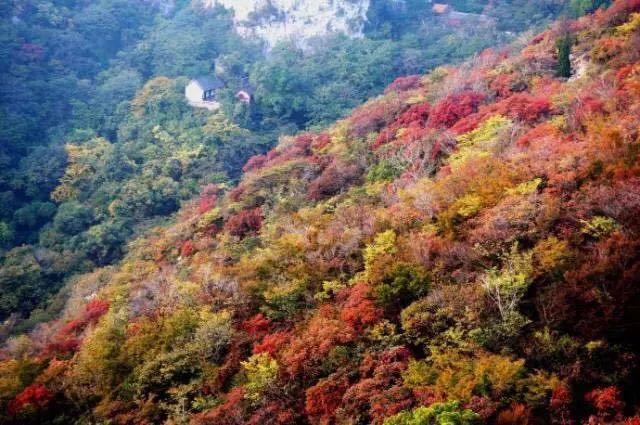 博山区年审,博山年审