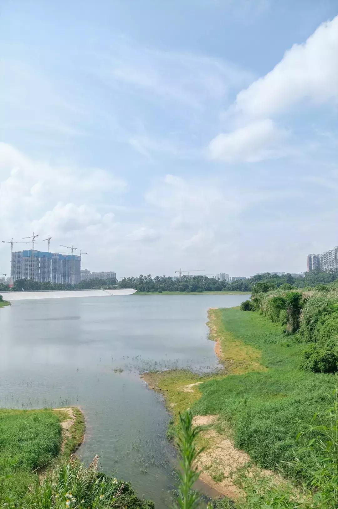 民治片区有未来吗,民治有什么特色