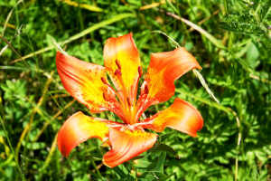 个性签名简短精辟句子大全,盘点那些精辟犀利的个性签名