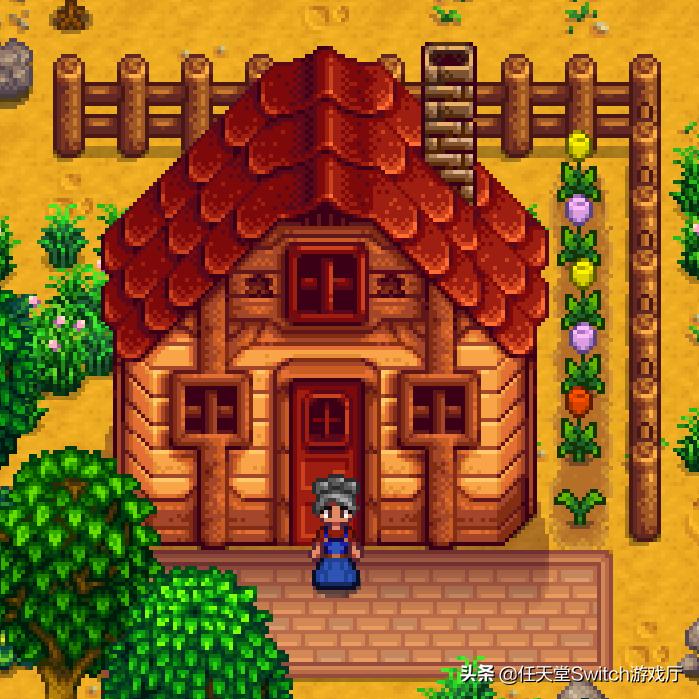 星露谷物语所有结局,星露谷物语最坏结局