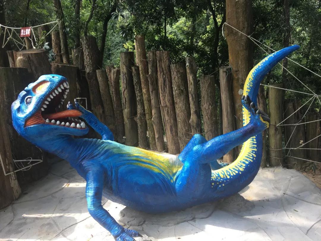 有玩有吃的礼物,有玩有吃的旅游景点