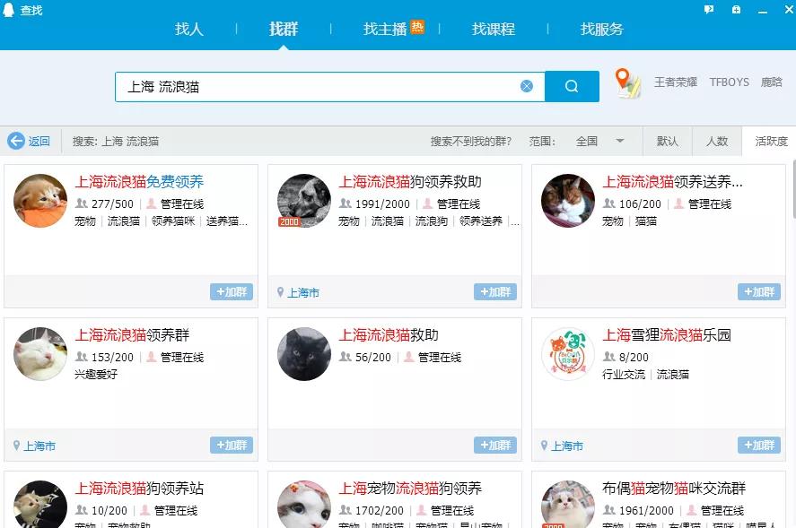 想领养狗狗却找不到地方,想领养一只猫咪又怕不会养