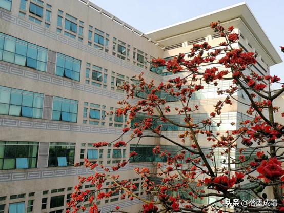 广西大学有哪些标志性的景色,走进广西美景