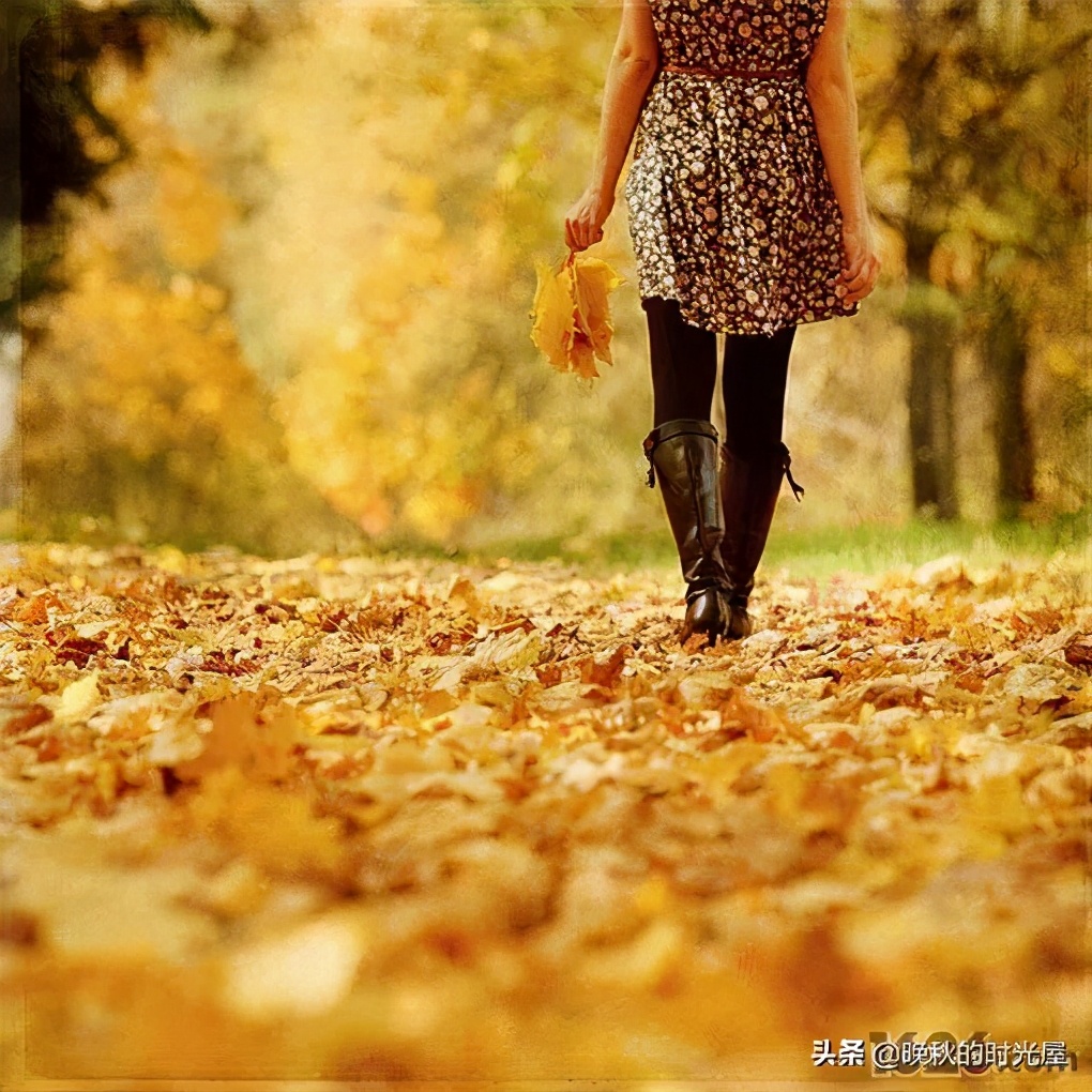 我们以为来日方长,许多时候我们总是以为来日方长