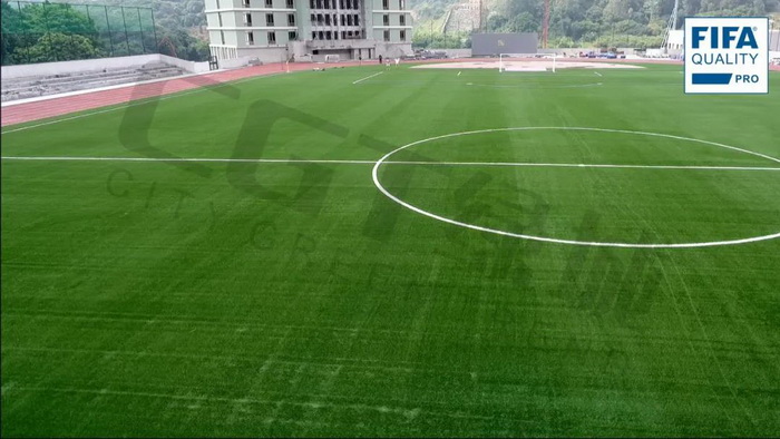 中国fifa认证专业足球场,国内fifa的足球场