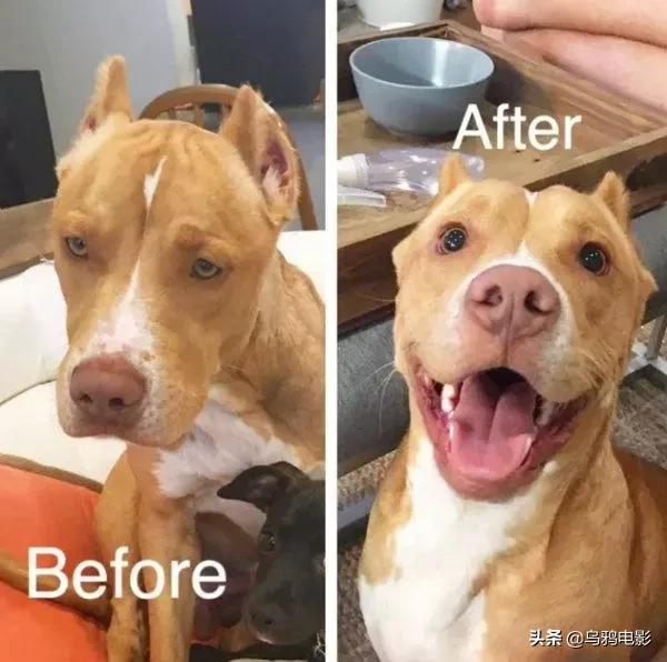 b站必看的综艺,b站能看的综艺推荐