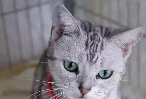 几个冷知识,这十个冷知识你知道几个呢