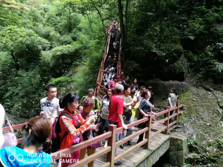重庆黑山谷避暑适合吗,重庆避暑7天黑山谷