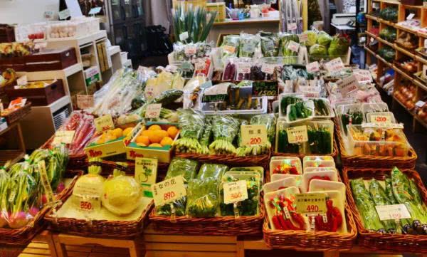 日本社会福利什么水平,日本各地富裕程度排名