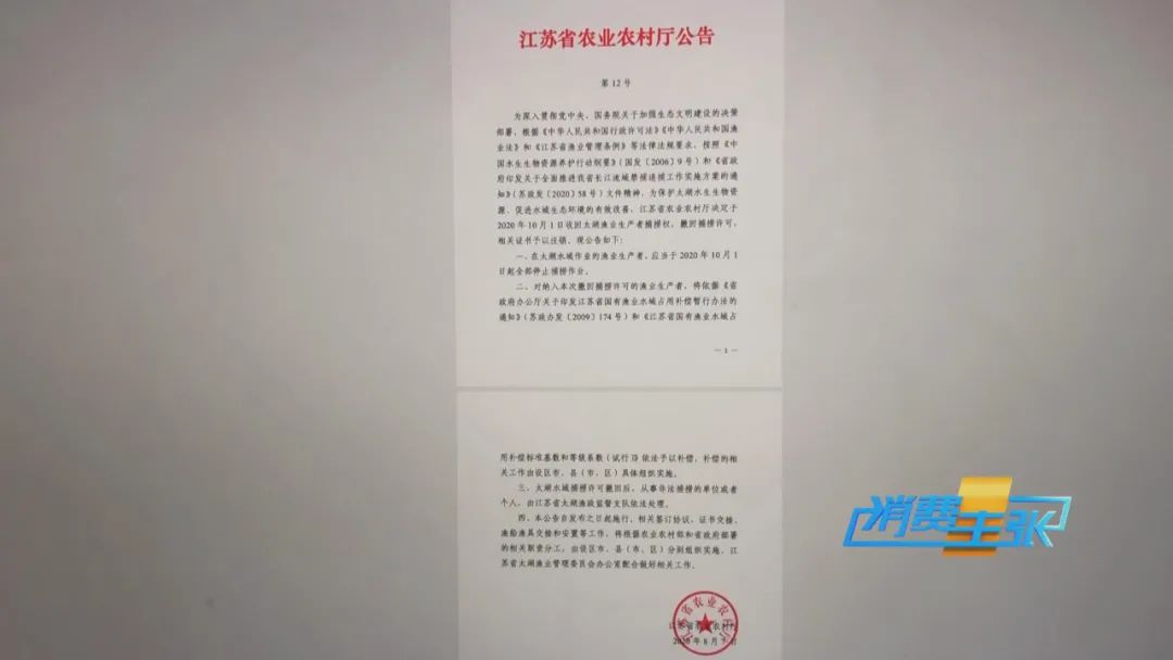 直击太湖开湖现场！鲜美湖鲜大量上市，资深吃货准备好了吗？