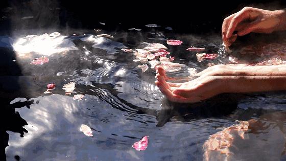 温泉酒店碧水湾,温泉碧水湾温泉度假酒店