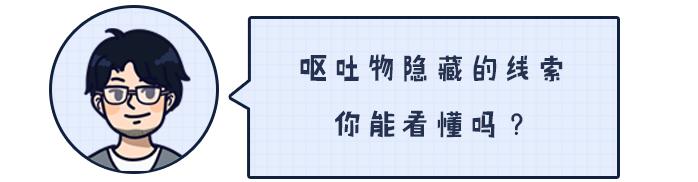 铲屎官的呕吐,狗狗呕吐铲屎官该怎么办