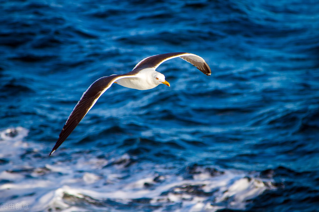 诗如何押韵有效的方法,谈谈诗的押韵及其禁忌