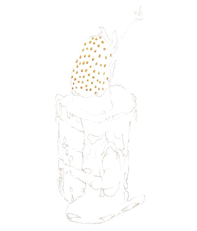 超逼真的彩铅绘画,超写实彩铅画100幅