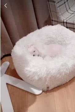 陈赫豪华豪宅图片,陈赫日本豪宅