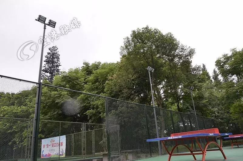 巴适自驾旅游攻略,巴适小众公园