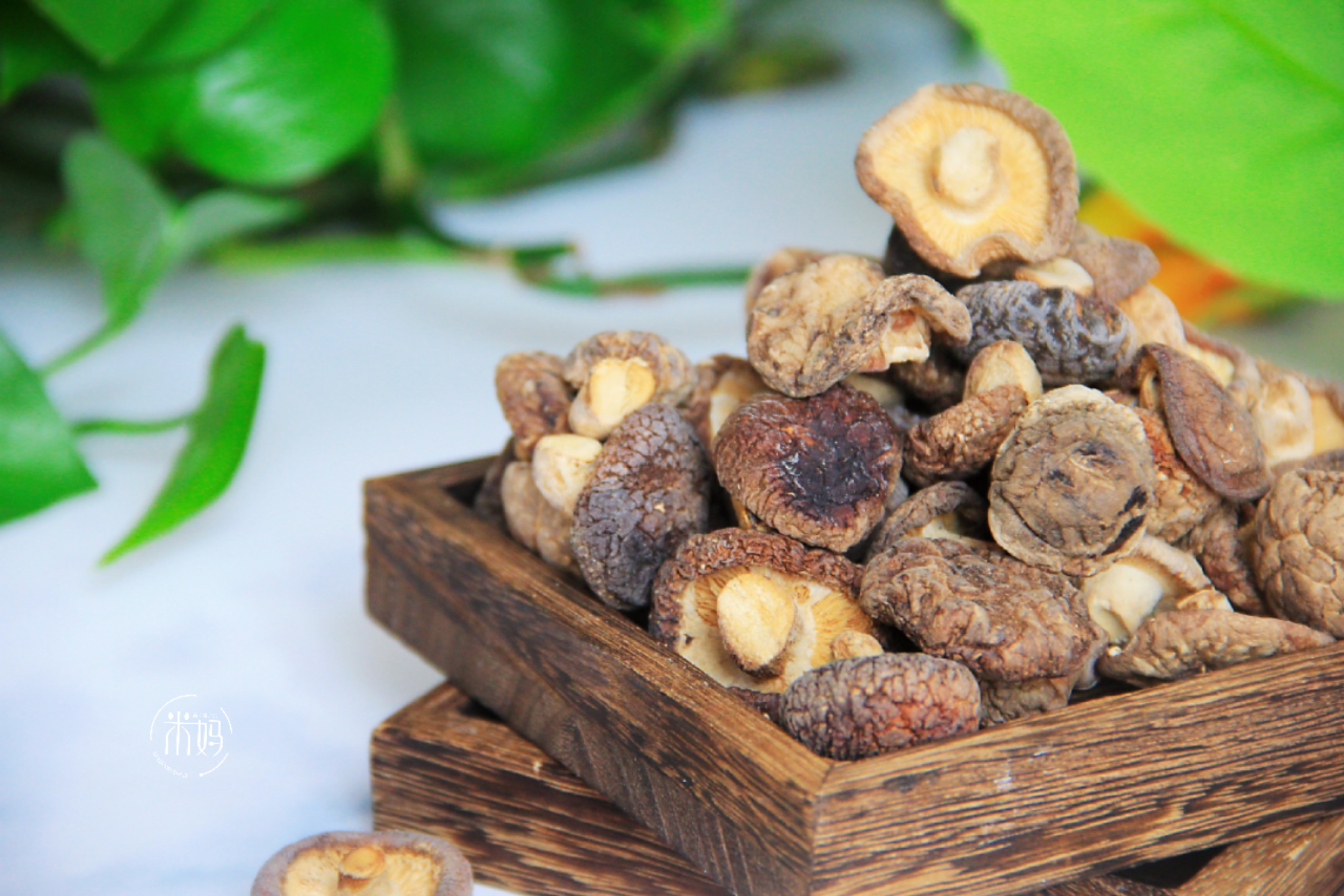 泡过水的干香菇怎么处理,泡发干香菇有苦味