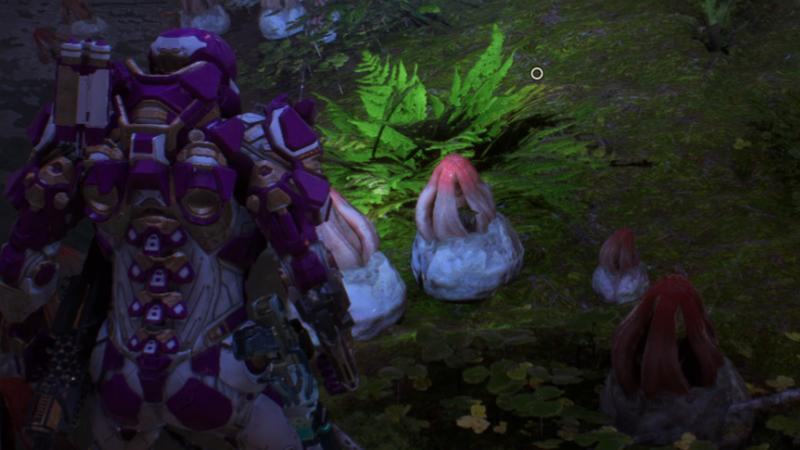 圣歌cex,圣歌评价