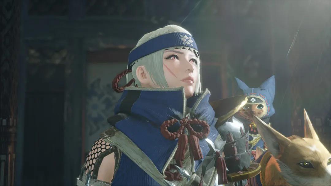 ns怪物猎人崛起可以同屏双人吗,steam怪物猎人崛起和ns能一起玩吗