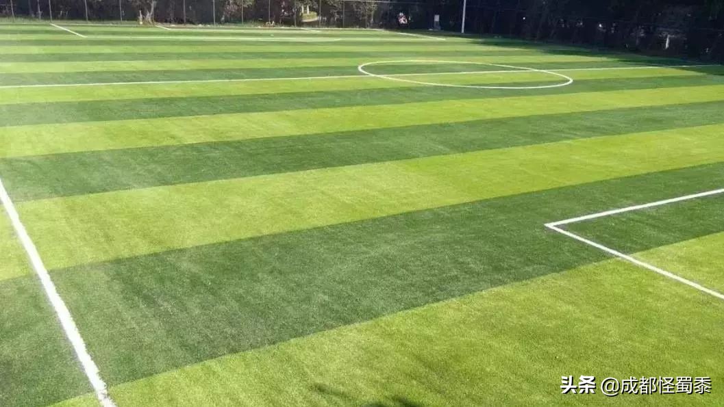 成都室内大型运动场地,周末可以打羽毛球的场子