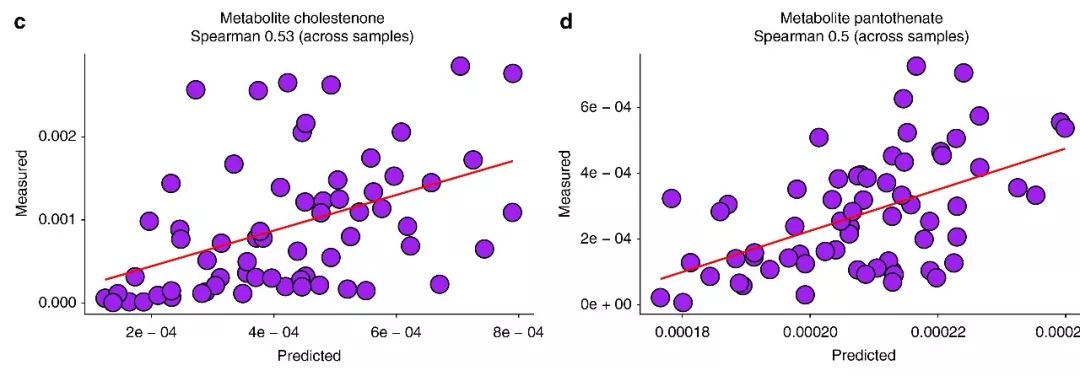 NC|预测代谢组新工具MelonnPan