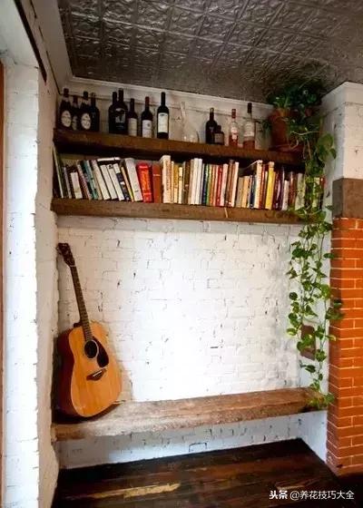 黄金葛大叶植物,黄金葛绿植