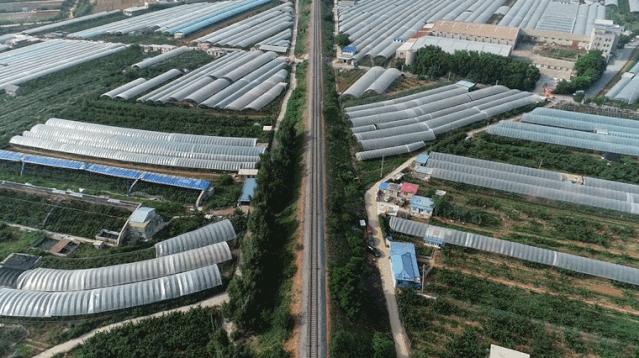 大连特产有哪些最便宜,大连的特产都有哪些