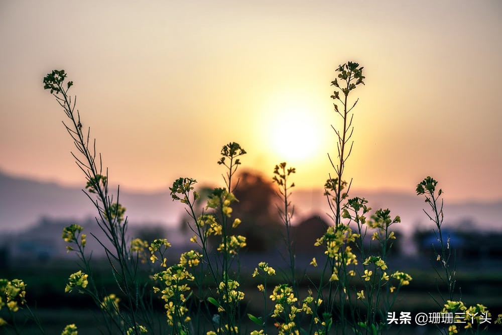 怎么拍出清晰的朝霞,逆光拍摄怎么拍出七彩霞光