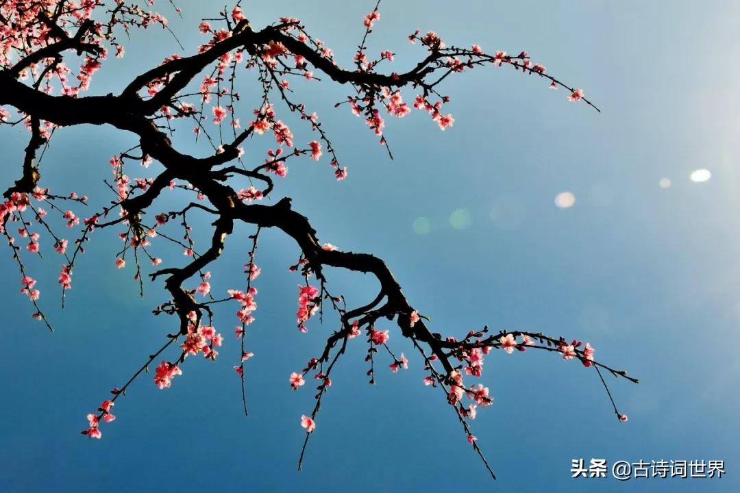 18句令人惊艳诗词,那些被误解的诗词你还知道多少