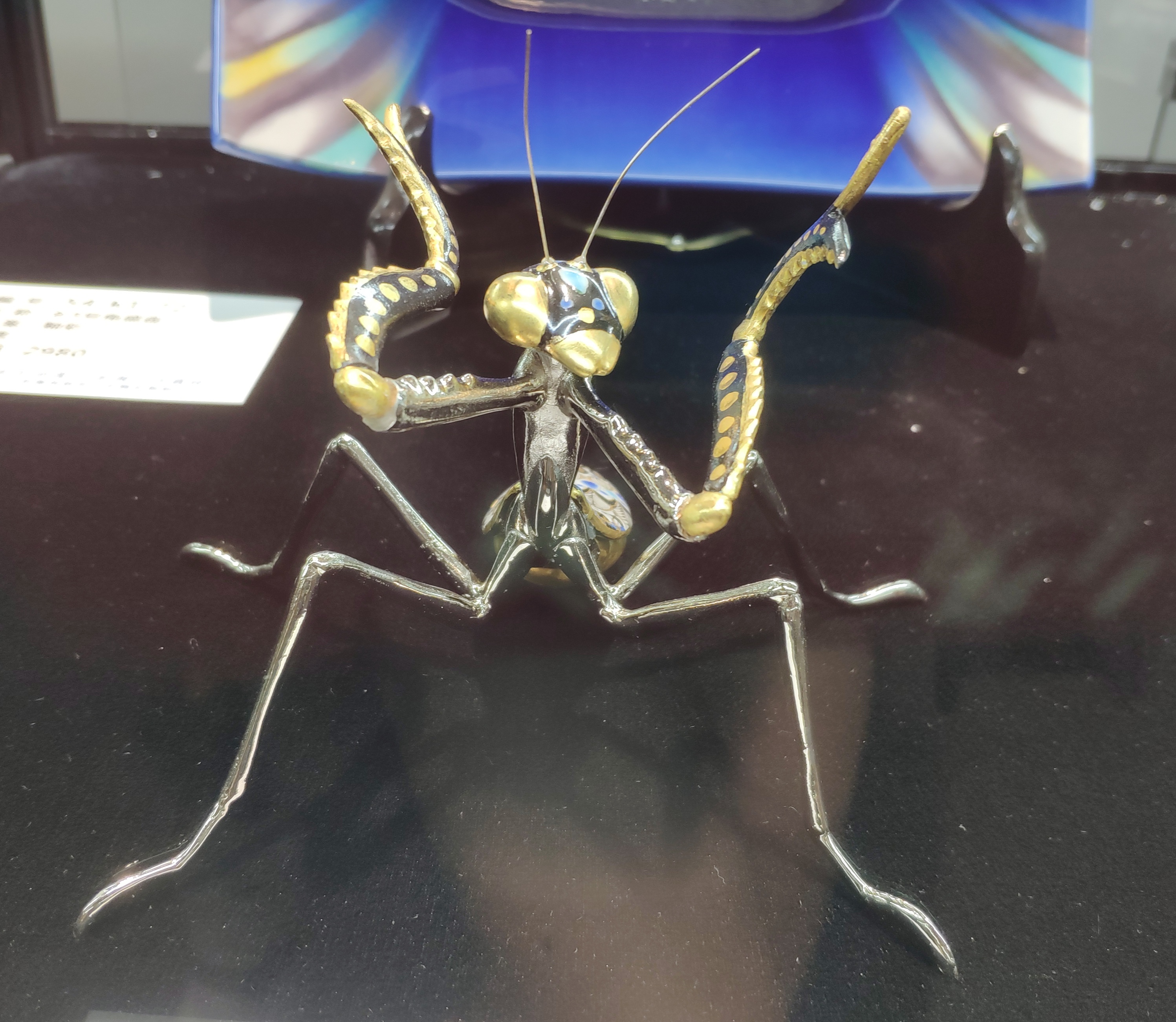 2024爆款高颜值陶瓷,传承陶瓷文化欣赏中国历史