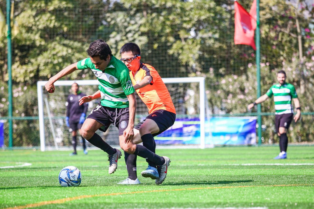 深化交流互动共促发展,深化交流合作促进融合发展