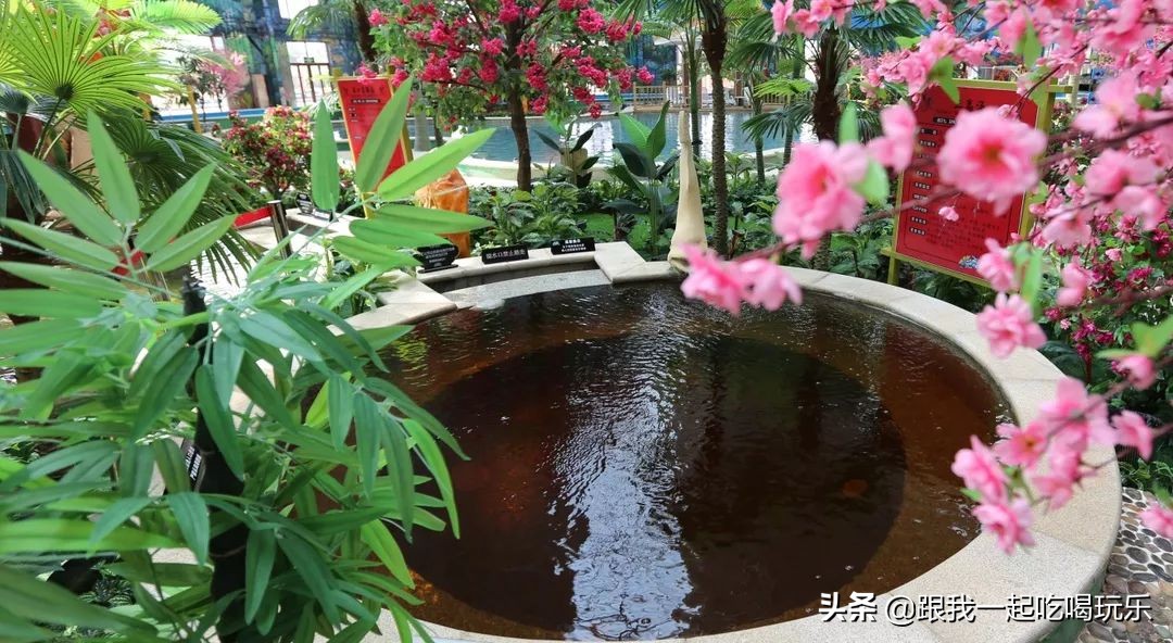 沈阳温泉水世界自助好吗,沈阳温泉池多的温泉