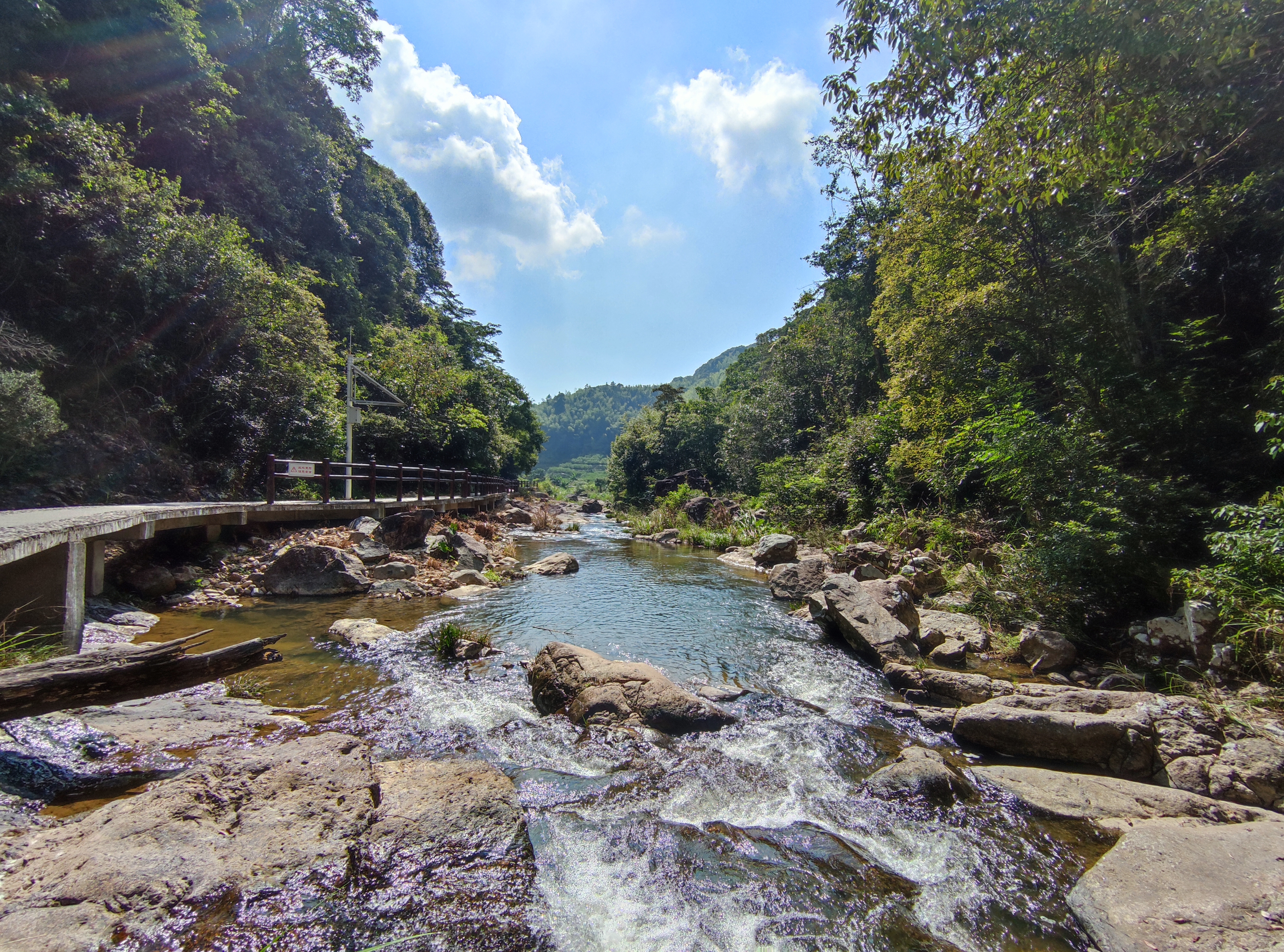 青山网红村,寿山九峰村有农家乐吗