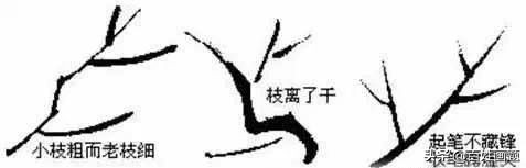 国画梅花画法视频,徐湛梅花画法教程