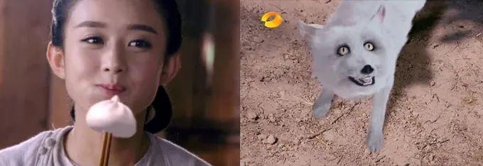 国产辣眼睛短剧,国产偶像剧辣眼睛