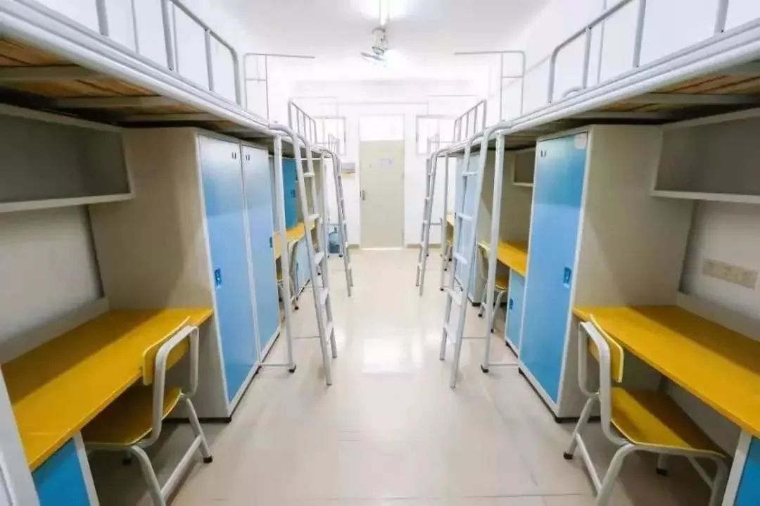 广东高职高考看院校,广州番禺高职高考有什么专业