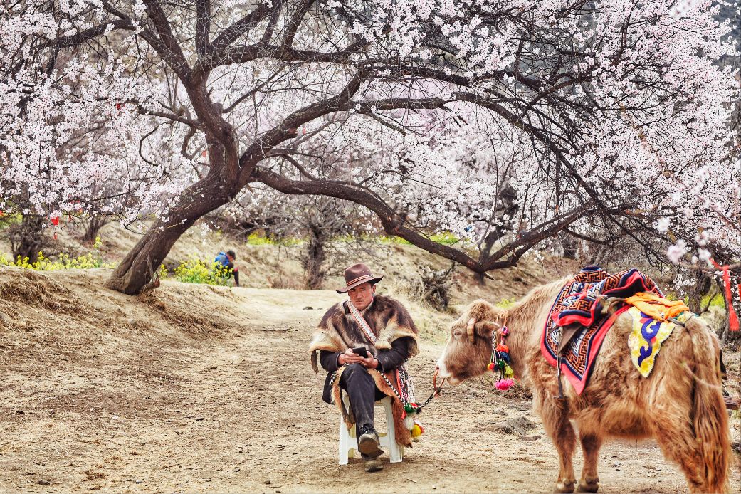 戴口罩的冬天太漫长，差点忘了中国的春天有多美
