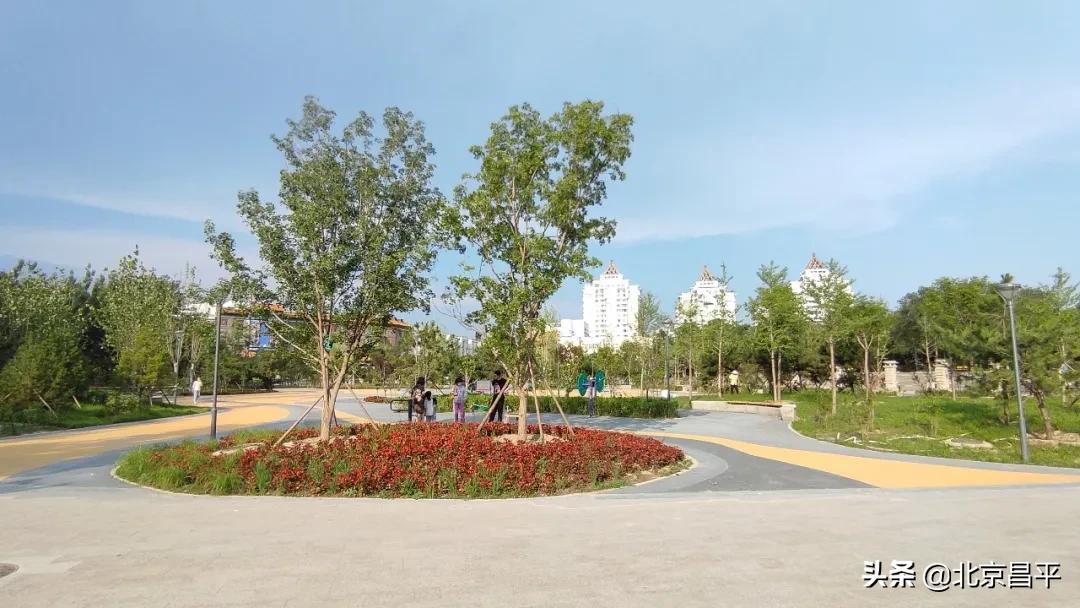 北京庆七一花坛摆放图片,北京长安街迎国庆立体花坛亮相