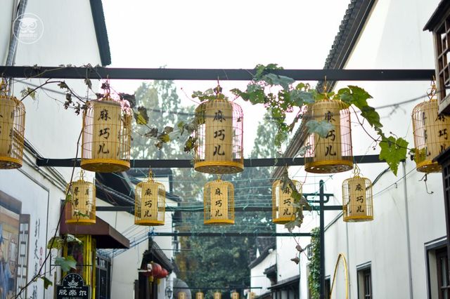 魔都出发1h，我被领着带到了一个卧虎藏龙的地方……