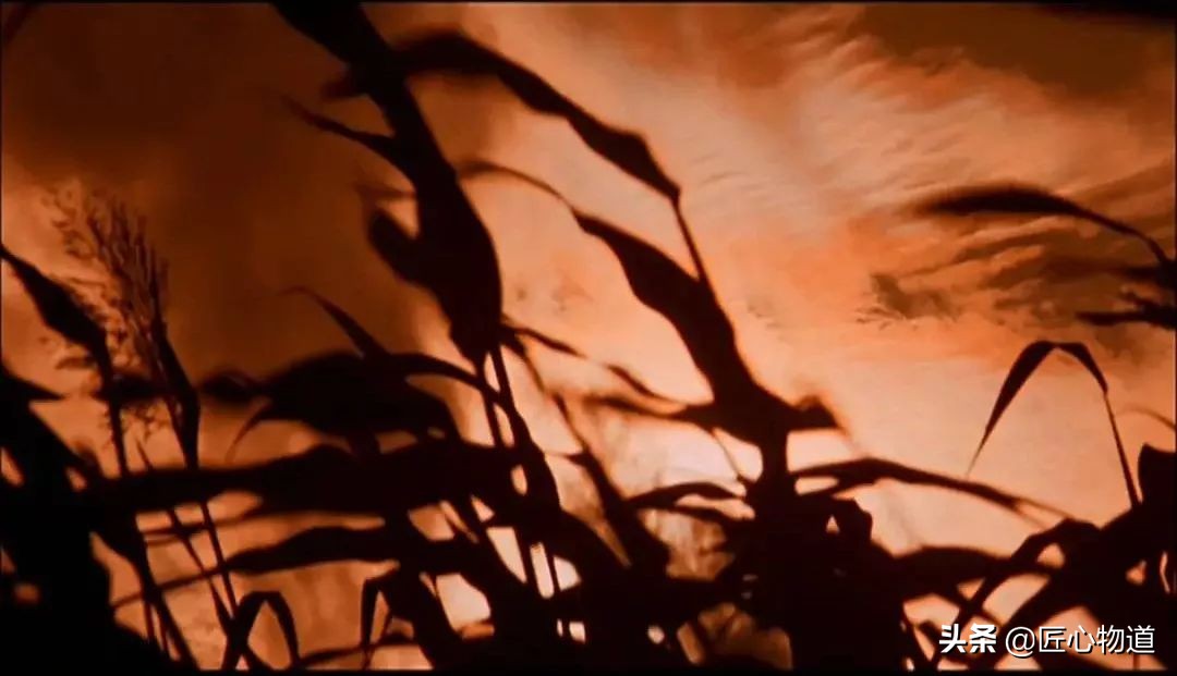 莫言故乡高粱红,莫言谈生存