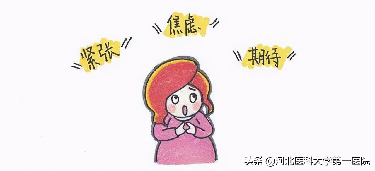 收藏了!最全孕期检查,宝妈宝爸一起看更有爱