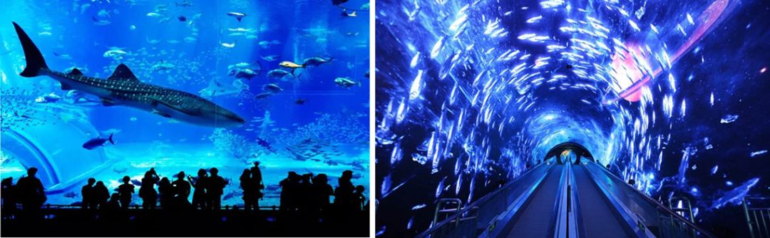 广州天河区正佳广场现状,现代启示录工厂店