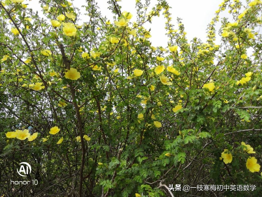 九年级11单元英语知识点归纳总结,人教版九年级英语全册知识点