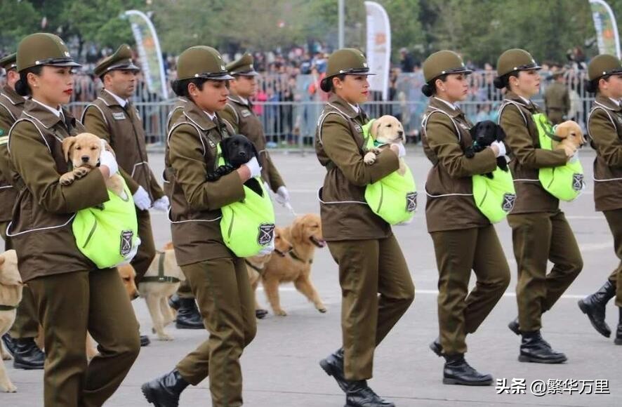 南美洲智利有钱,南美人均收入最高的国家