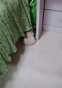 买了个保温杯，结果里面塞满了口红，这是买到假货了？