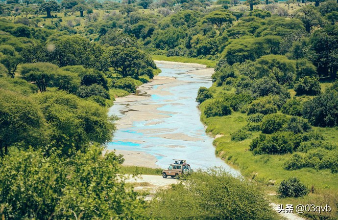 鏈涙棤杈归檯鐨勬捣,鏈涙棤杈归檯